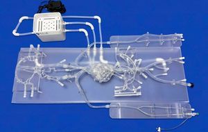 neurosurgery vascular model 1