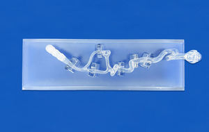 blood vessels vascular model 1