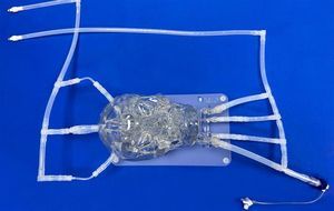 intracranial artery vascular model 1