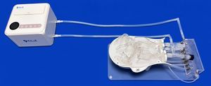 external carotid artery vascular model 1