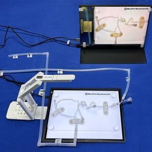 nervous system vascular model 1