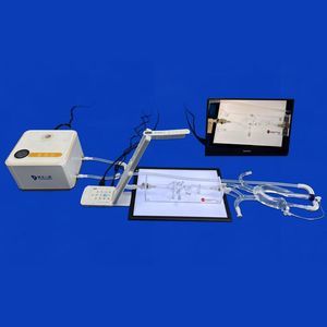 cerebral vascular model 1