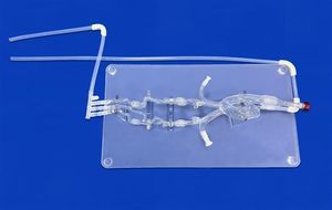 intracranial vascular model