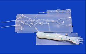 femoral artery vascular model