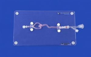 middle cerebral artery vascular model 1