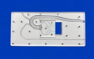 coronary arteries vascular model 1