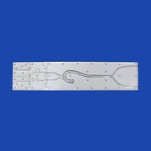 intracranial anatomical model