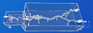 femoral artery vascular model 1