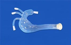 left common carotid artery vascular model 1