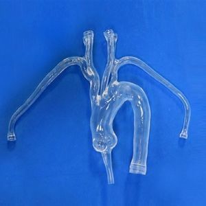 artery vascular model 1