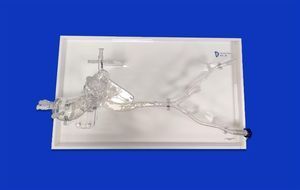 iliac artery vascular model 1