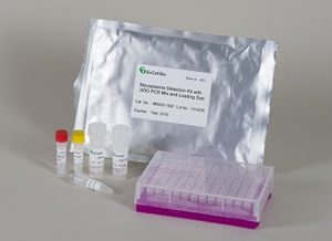 Mycoplasma detection reagent