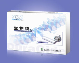 bovine calcaneal tendon dural substitute 1
