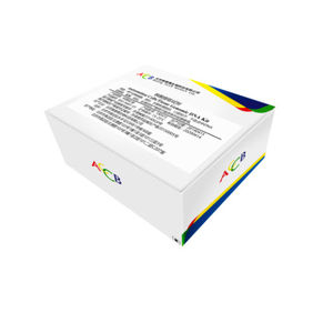 DNA polymerase reagent kit