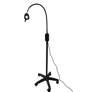 dental examination lamp