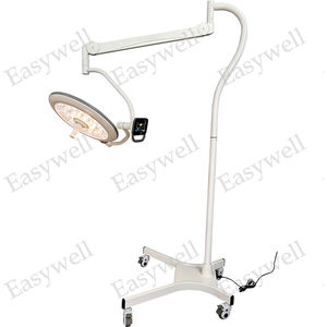 mobile surgical light