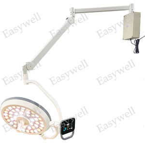 wall-mounted surgical light 1
