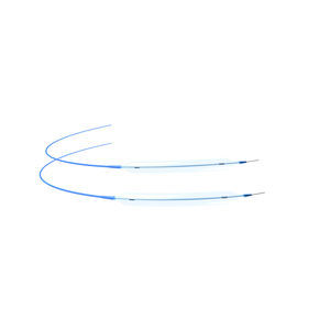guiding catheter