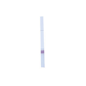 lateral flow test strip