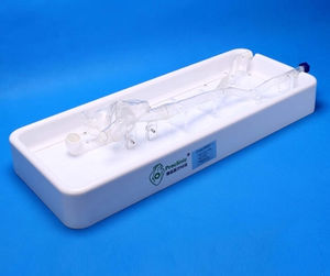 auricular anatomical model