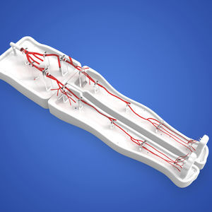 lower limb vascular model