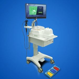 bronchoscopy simulator