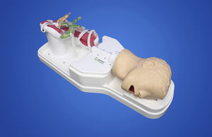 pyloric anatomy model
