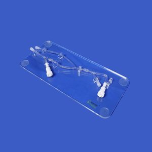upper limb vascular model 1
