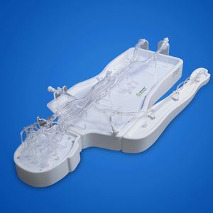 internal carotid artery vascular model 1