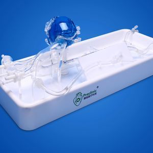 coronary arteries vascular model