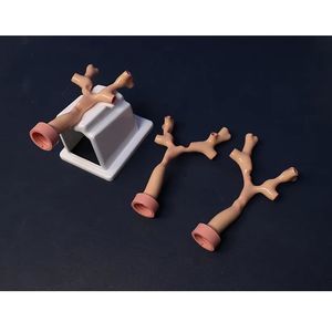 pneumological care simulation module