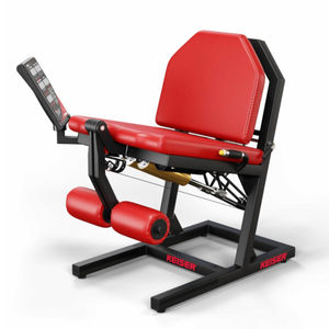 leg extension gym station