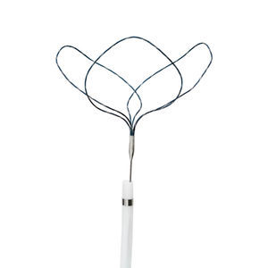 airway foreign body removal endoscopic snare