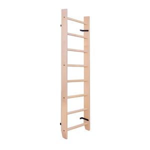 rehabilitation wall bars 1