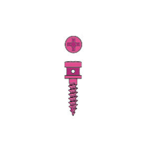 maxilla compression bone screw