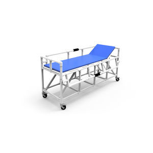 transfer stretcher trolley