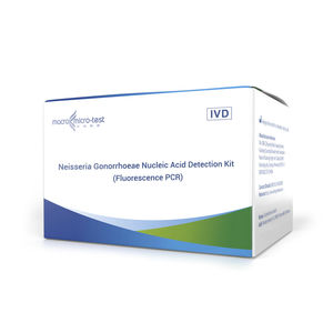 Neisseria gonorrhea detection kit