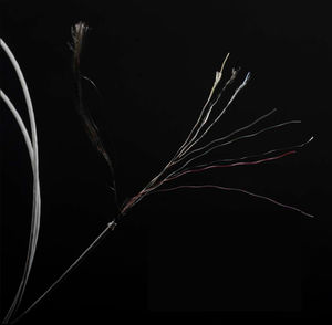 camera cable
