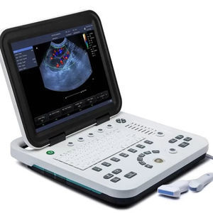 portable veterinary ultrasound system