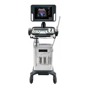 on-platform ultrasound system