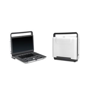 portable ultrasound system