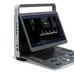 portable ultrasound system