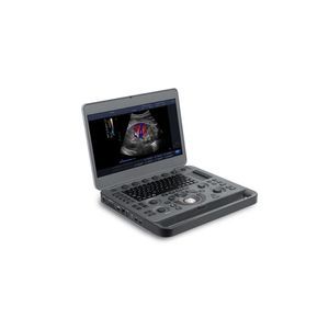 portable ultrasound system