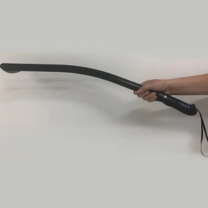 portable veterinary ultrasound system