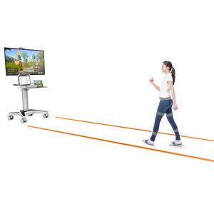gait evaluation system