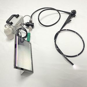 video veterinary gastroscope