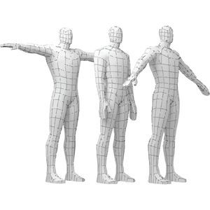 lumbar model