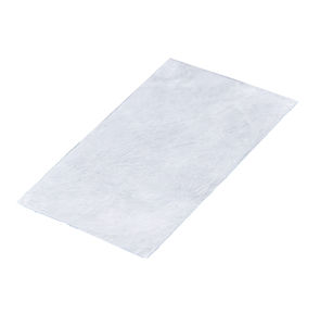 porcine small intestinal submucosa dural patch