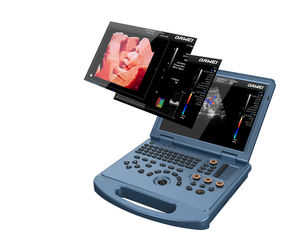 portable ultrasound system