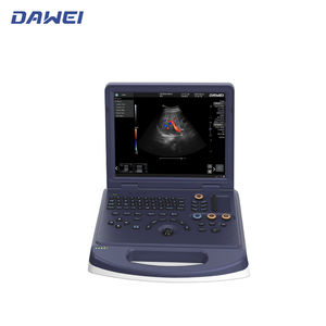 portable ultrasound system